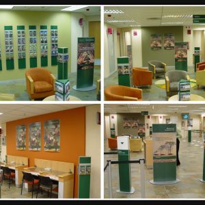 Eye-Catching Bank Interior Design Created with the Vista System